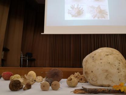 JORNADA MICOLGICA EN JOSEFINAS - Foto 4