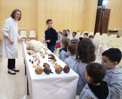 JORNADA MICOLGICA EN JOSEFINAS - Foto 9