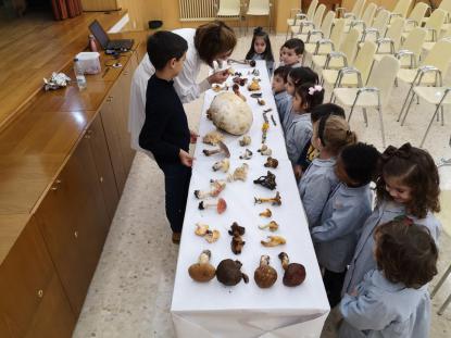JORNADA MICOLGICA EN JOSEFINAS - Foto 10