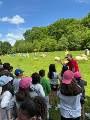 EXCURSIN PRIMARIA - Foto 20