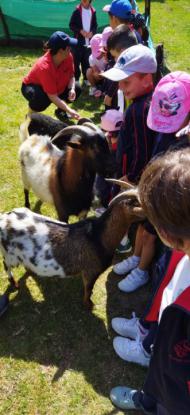 EXCURSIN 1 ED. PRIMARIA - Foto 10