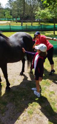 EXCURSIN 1 ED. PRIMARIA - Foto 13