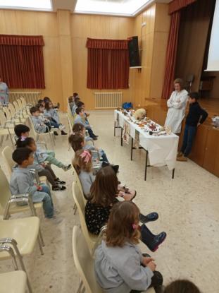 JORNADA MICOLGICA EN JOSEFINAS - Foto 13