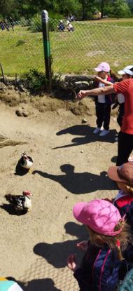 EXCURSIN 1 ED. PRIMARIA - Foto 12