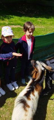 EXCURSIN 1 ED. PRIMARIA - Foto 15