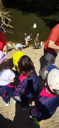 EXCURSIN 1 ED. PRIMARIA - Foto 14