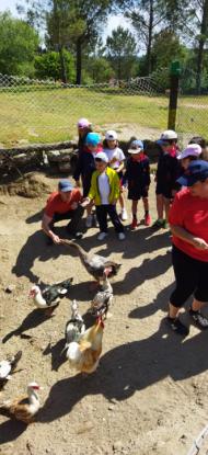 EXCURSIN 1 ED. PRIMARIA - Foto 17