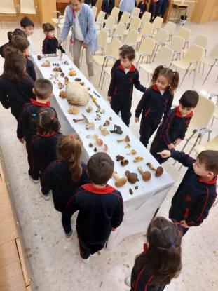 JORNADA MICOLGICA EN JOSEFINAS - Foto 16