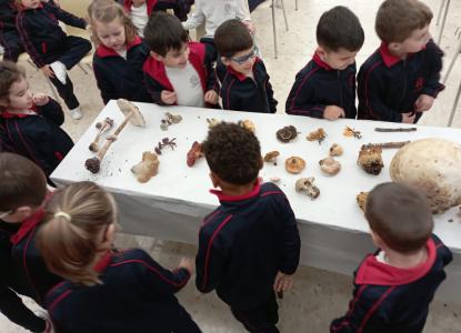 JORNADA MICOLGICA EN JOSEFINAS - Foto 17