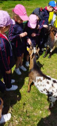 EXCURSIN 1 ED. PRIMARIA - Foto 19