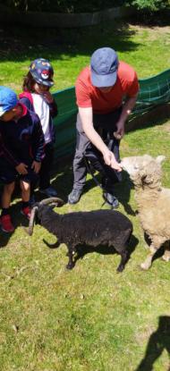 EXCURSIN 1 ED. PRIMARIA - Foto 16