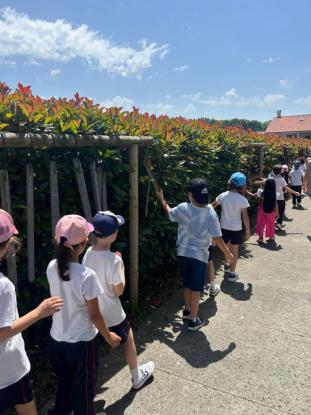 EXCURSIN PRIMARIA - Foto 2