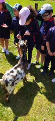 EXCURSIN 1 ED. PRIMARIA - Foto 2