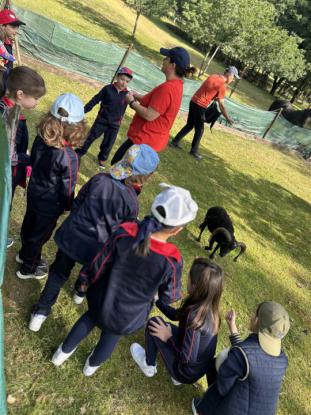 EXCURSIN 1 ED. PRIMARIA - Foto 42