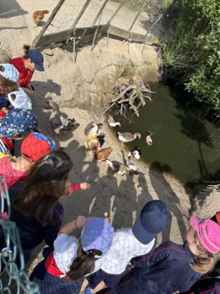 EXCURSIN 1 ED. PRIMARIA - Foto 45