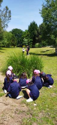 EXCURSIN 1 ED. PRIMARIA - Foto 37