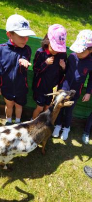 EXCURSIN 1 ED. PRIMARIA - Foto 3