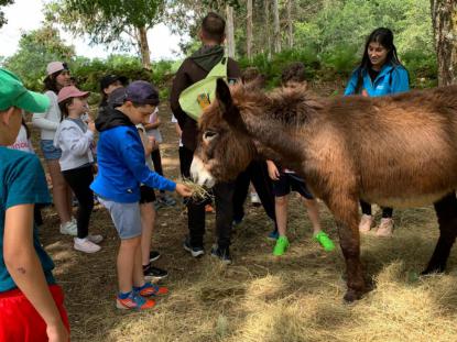 EXCURSIN 4 PRIMARIA - GRANJA KIRIKO - Foto 2