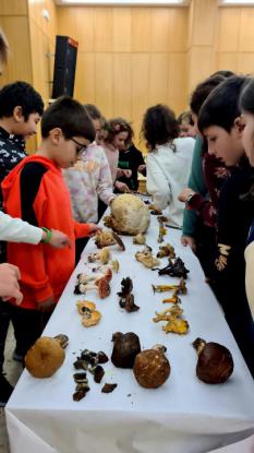 JORNADA MICOLGICA EN JOSEFINAS - Foto 32