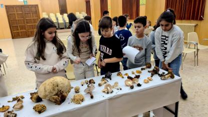 JORNADA MICOLGICA EN JOSEFINAS - Foto 33
