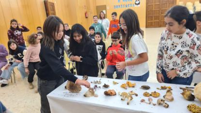 JORNADA MICOLGICA EN JOSEFINAS - Foto 35