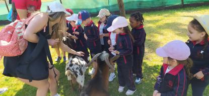 EXCURSIN 4 ED. INFANTIL - Foto 36