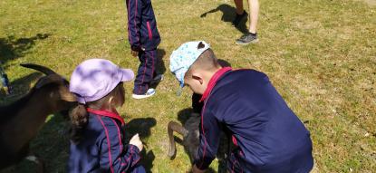 EXCURSIN 4 ED. INFANTIL - Foto 39