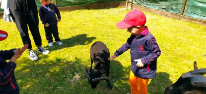 EXCURSIN 4 ED. INFANTIL - Foto 38