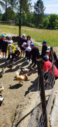 EXCURSIN 1 ED. PRIMARIA - Foto 4