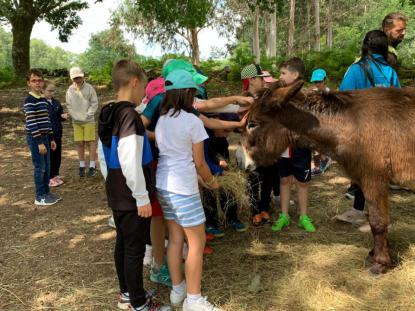 EXCURSIN 4 PRIMARIA - GRANJA KIRIKO - Foto 3