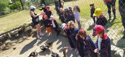 EXCURSIN 4 ED. INFANTIL - Foto 44