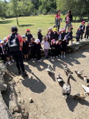 EXCURSIN 4 ED. INFANTIL - Foto 47