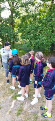 EXCURSIN 1 ED. PRIMARIA - Foto 28
