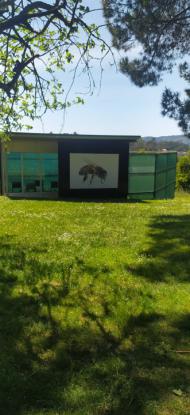 EXCURSIN PRIMARIA - Foto 3