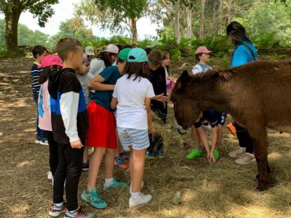 EXCURSIN 4 PRIMARIA - GRANJA KIRIKO - Foto 4