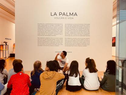 "LA PALMA. VOLCN Y VIDA"  - Foto 5