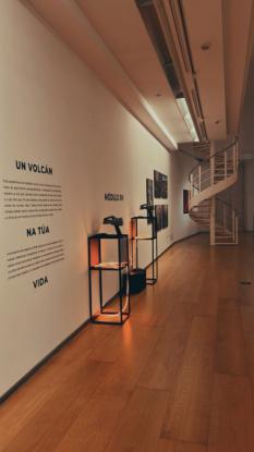 EXPOSICIN: "LA PALMA. VOLCN E VIDA" - Foto 12