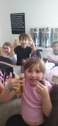 EXCURSIN PRIMARIA - Foto 4