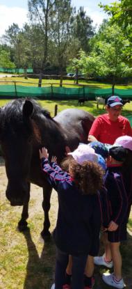 EXCURSIN 1 ED. PRIMARIA - Foto 7