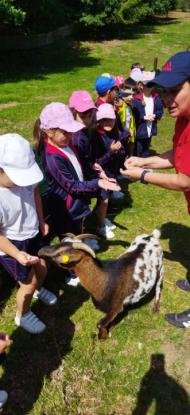 EXCURSIN 1 ED. PRIMARIA - Foto 11