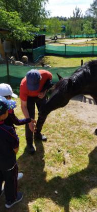 EXCURSIN 1 ED. PRIMARIA - Foto 8