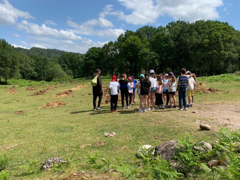 EXCURSIN 4 PRIMARIA - GRANJA KIRIKO - Foto