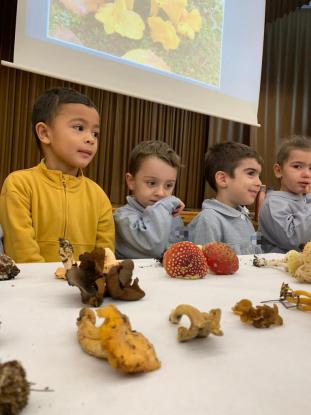 JORNADA MICOLGICA EN JOSEFINAS - Foto 1