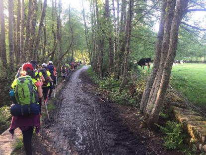 Camino de Santiago 2017 - Foto 15