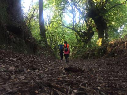 Camino de Santiago 2017 - Foto 29
